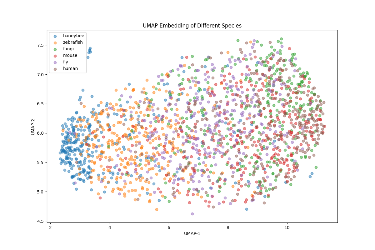 DiscDiff: Latent Diffusion Model for DNA Sequence Generation