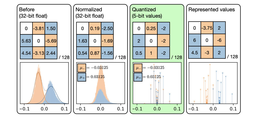Focused quantization for sparse CNNs